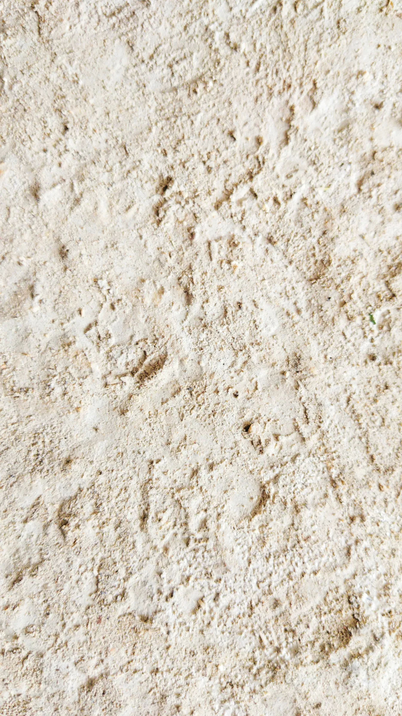 Primer pla de gres crema de gra fi