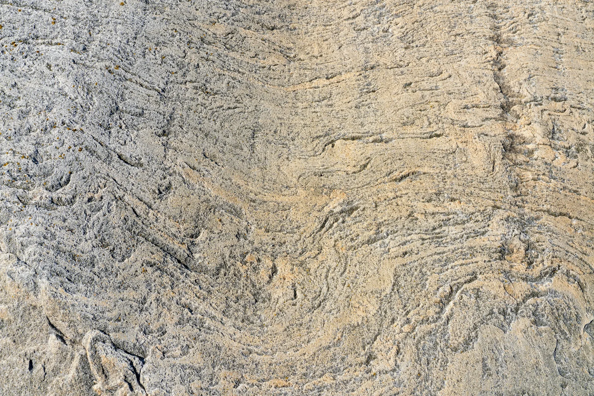 Textura de gres gris amb estrats